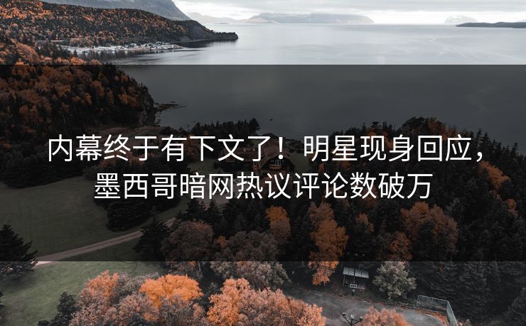 内幕终于有下文了！明星现身回应，墨西哥暗网热议评论数破万